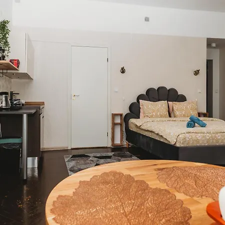 Appartement 4 Bedroom Old Town - 3 Bathrooms Tallinn