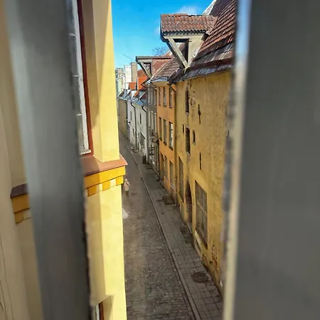 アパート 4 Bedroom Old Town - 3 Bathrooms タリン