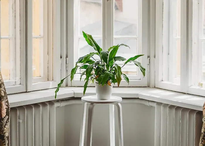 4 Bedroom Old Town - 3 Bathrooms Lejlighed Tallinn